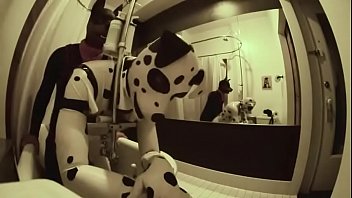 porn dee dirty pups in the hotel room free