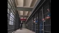 porn belladonna jail gangbang free