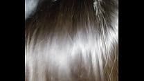 porn age xr21 free