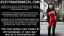 porn bulufimu two huge animals cock fucked by dirtygardengirl at once in he anal prolapse hole free