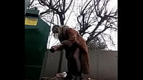 porn seachplummy dragon dildo dumpster dumb dawniev ass to mouth free