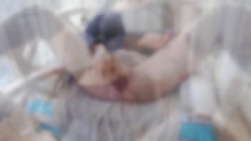 porn honey remember to subscribe to me shave the hair of the slut girlfriend and turn it into a white tiger steamed bun free
