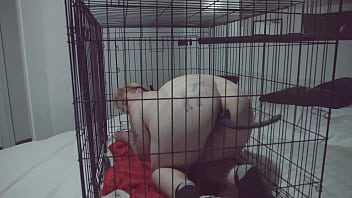 porn violet coxx ftm puppy sex free