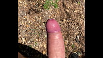 porn femme cum forest free